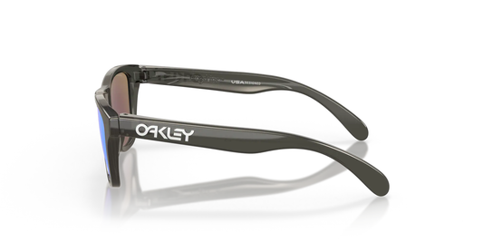 Oakley Occhiali Frogskins xxs con lente prizm