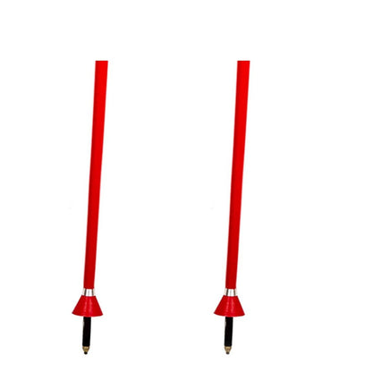 Vola Bastoncini GS Alpine-3