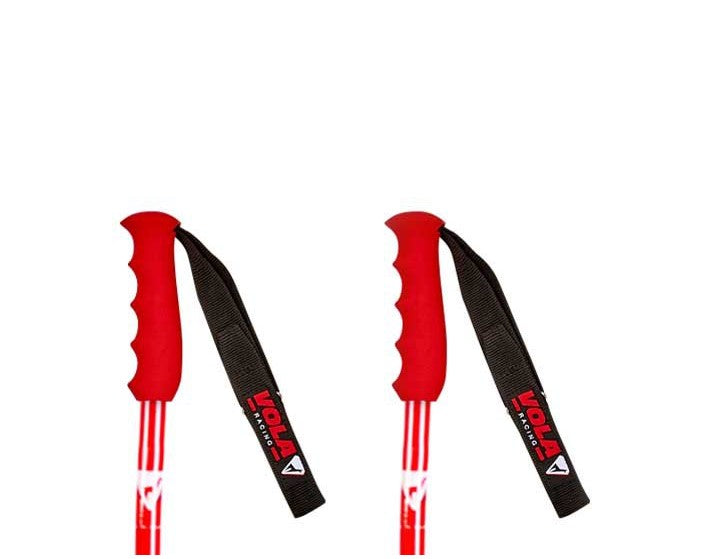 Vola Bastoncini GS Alpine-4